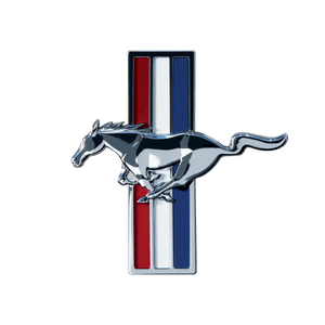 Mustang dent repair